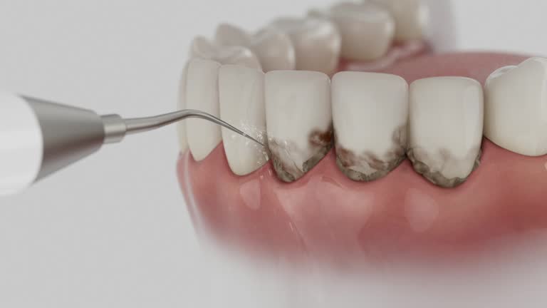 Reliable Dental contractor in West Park, FL by Dentist Open Now